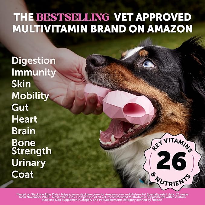 Dog Multivitamin - 10 in 1 Dog Vitamins for Health & Heart - Omega Fish Oil, Glucosamine & Probiotics - Dog Vitamins and Supplements for Skin and Coat (Chicken 180 ct)-PawvioPets
