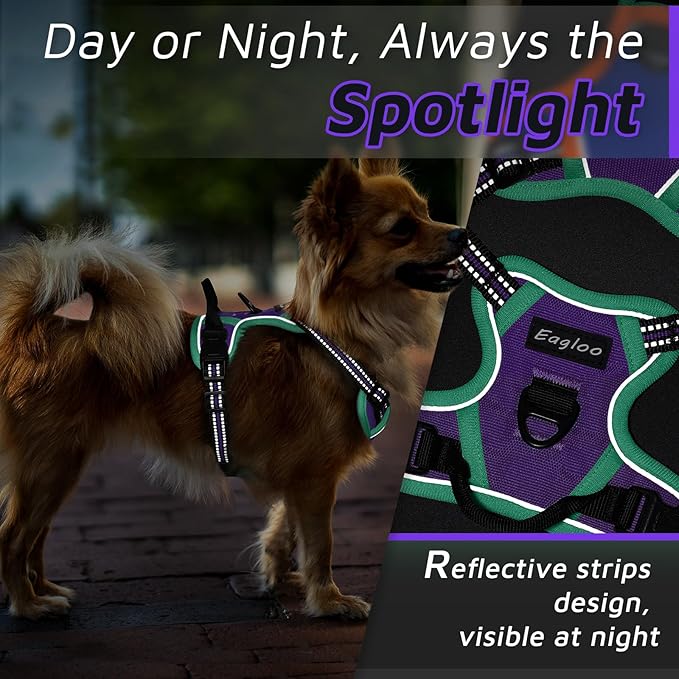Eagloo Small Dog Harness No Pull, Service Vest with Reflective Strips and Control Handle, Adjustable and Comfortable for Walking, No Choke Pet Harness with 2 Metal Rings, Purple & Green, XS-PawvioPets