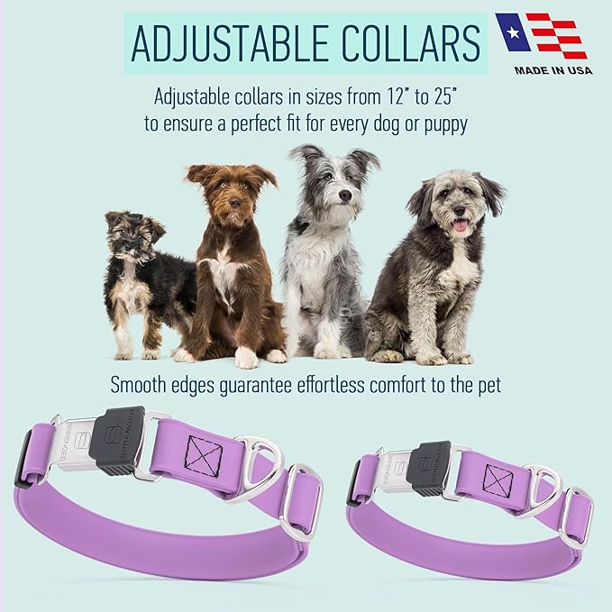 Dogline Biothane Waterproof Dog Collar with Herm Sprenger Black Stainless Steel Quick Release Buckle – Heavy Duty Tactical Durable Collar for Dogs – Comfortable, Safe Pet Collar W 1" L 15-25" Amethyst-PawvioPets