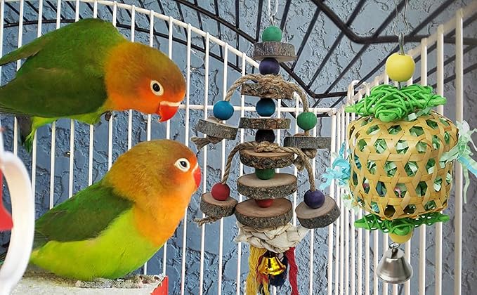 Bird Toys for Conures Parakeet, Birds Cage Accessories, Bird Shredding Foraging Toys for Cage-PawvioPets