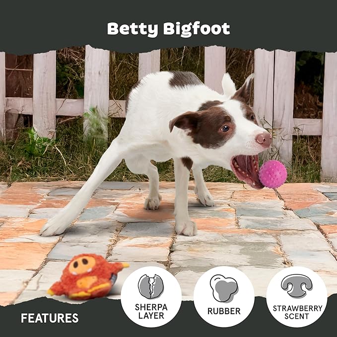 Barkbox Betty Bigfoot Dog Toy for Medium to Large Aggressive Chewers, Durable with Hidden Surprise Toy Inside for Extended Playtime-PawvioPets