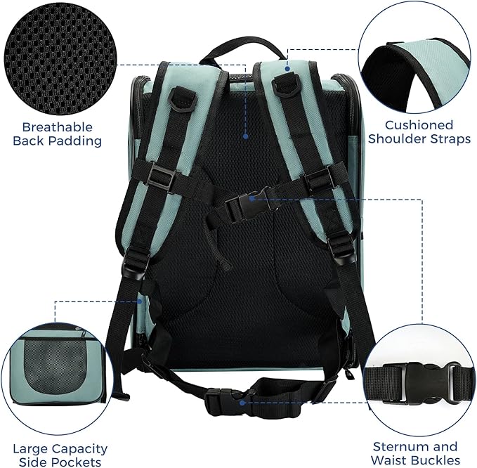 Apollo Walker Dog & Cat Carrier Backpack for 4-15lb Pets - Ventilated Safe Design with Padded Back Support, Breathable Mesh Pet Backpack for Hiking, Travel, Outdoor (Blue)-PawvioPets