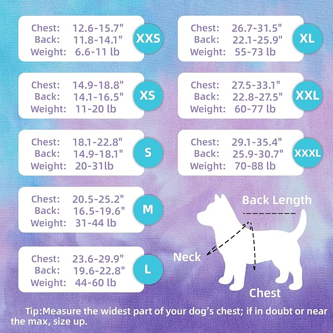 Breathable Dog Recovery Suit for Male/Female, Retro Sky Dye Dog Onesie for Abdominal Wounds, Cone E-Collar Alternative After Surgery to Anti-Licking, Professional Surgery Suit for Dogs-PawvioPets