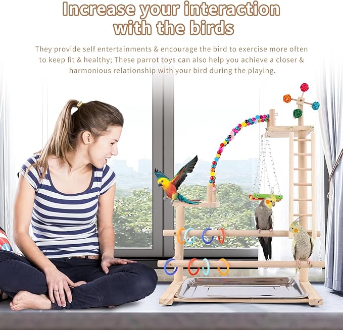 Bird Playground, Perch Stand Parrot Playstand Play Gym with 2 Perches Stand Windmill Toys, Playpen for Parakeet Conure Cockatiel Lovebird Budgie Caique, Exercise Playgym with feeding Cups-PawvioPets