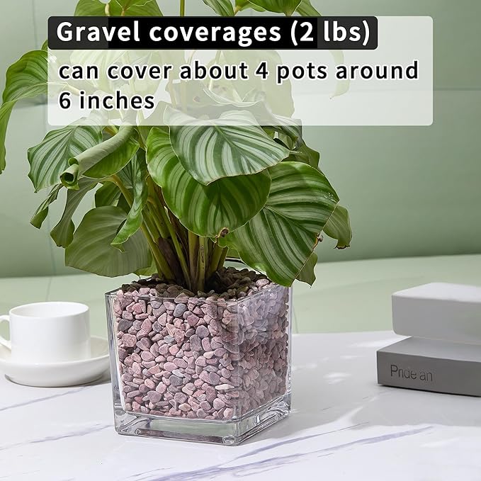 2lb Succulent and Cactus Gravel Pebbles 1/5-3/8 Inch Natural Decorative Polished Stones River Rocks for Plants, Vases, Aquariums, Terrarium and Outdoor Gardening, Rouge Red Color-PawvioPets