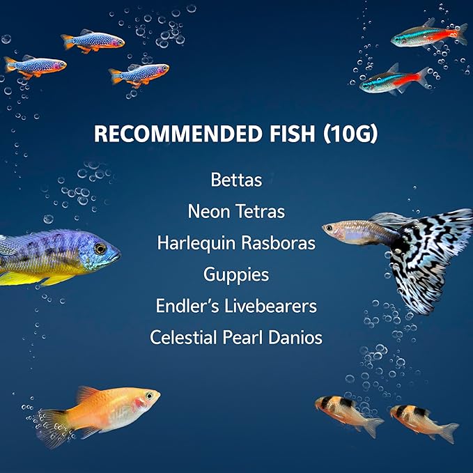 Aqueon 10 Gallon Aquarium Starter Kit with SmartClean Filtration and LED Lighting for Tropical Freshwater Fish-PawvioPets