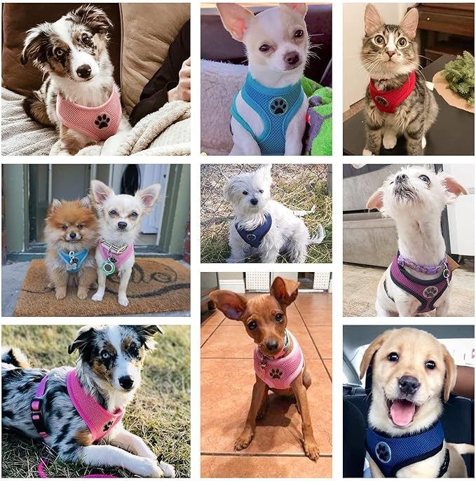 BINGPET Dog Vest Harness -Light Weight Breathable Sports Mesh - Pet Adjustable Harness Puppy Padded Harnesses Dog Vest Harness for Small Dogs-PawvioPets