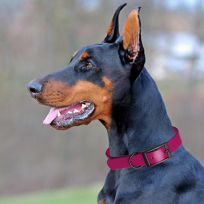 Dogline Biothane Waterproof Dog Collar Strong Coated Nylon Webbing with Black Hardware Odor- Proof for Easy Care Easy to Clean High Performance Fits Small Medium or Large Dogs, Magenta Pink-PawvioPets