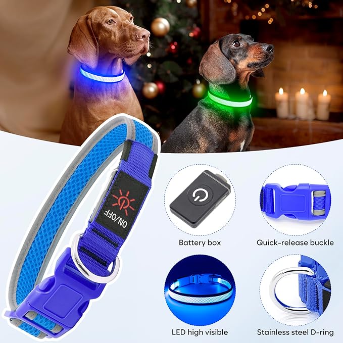 Flashseen LED Dog Collar, Light Up Dog Collar USB Rechargeable, Brightest Dog Lights for Night Walking, Adjustable Dog Collar Light for Dog Safety(Medium, Royal Blue)-PawvioPets