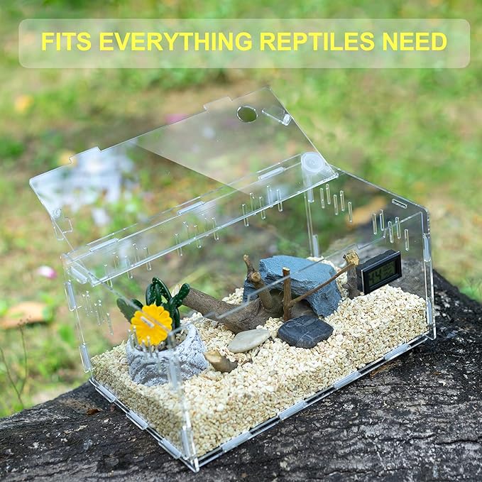 BETAZOOER Reptile Terrarium Breeding Tank Acrylic Reptile Feeding Box with Temperature Hygrometer (11.4"x7.7"x5.9")-PawvioPets