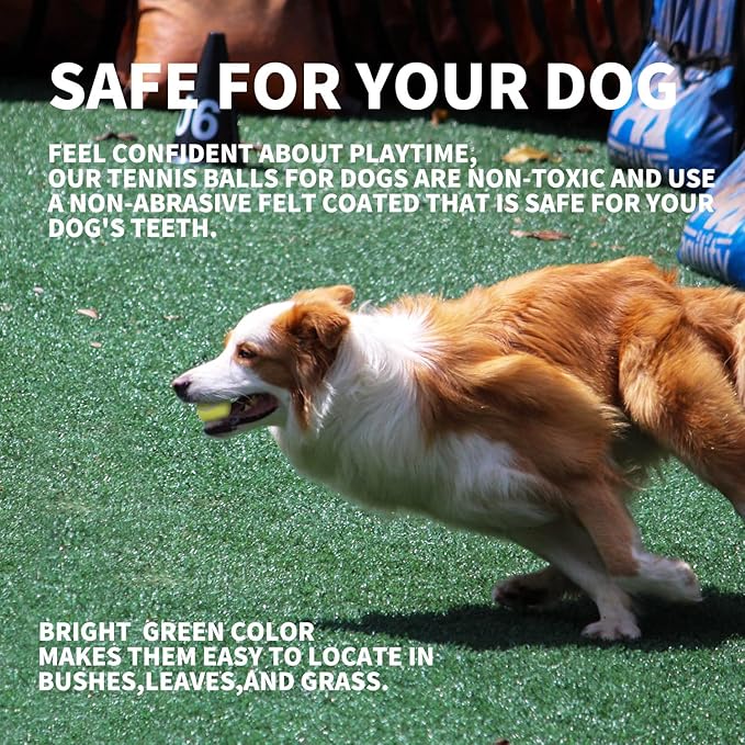 ALL FOR PAWS Interactive Super Bounce Tennis Balls Dog Toy, Pet Safe Toys for Exercise and Training, 2.5 Inch Diameter (6 Pack)-PawvioPets