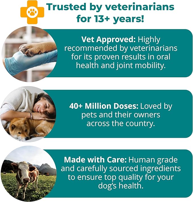 1TDC WorksSoWell Dual Action Joint Supplement for Dogs & Cats - Hip and Joint Supplement for Large Breed & Small Breed - Also Great for Oral Health - Muscle & Stamina Recovery & Arthritis - 60ct-PawvioPets