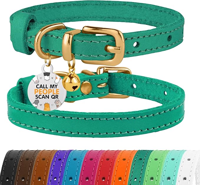 BRONZEDOG Leather Cat Collar with Removable Bells Non Breakaway Kitten QR Tag for Girl Boy (7" - 9" for Cats, Green & Gold)-PawvioPets