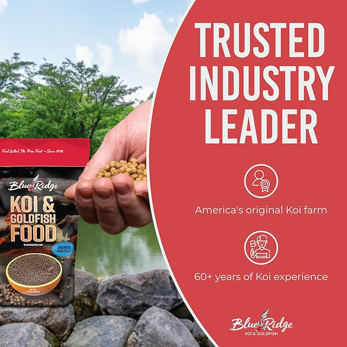 Blue Ridge Koi Fish Food 2lb - Koi Food Mini Growth Formula, Goldfish Food, Premium Fish Food for Ponds, Ponds Fish Food, Floating Pond Pellets-PawvioPets