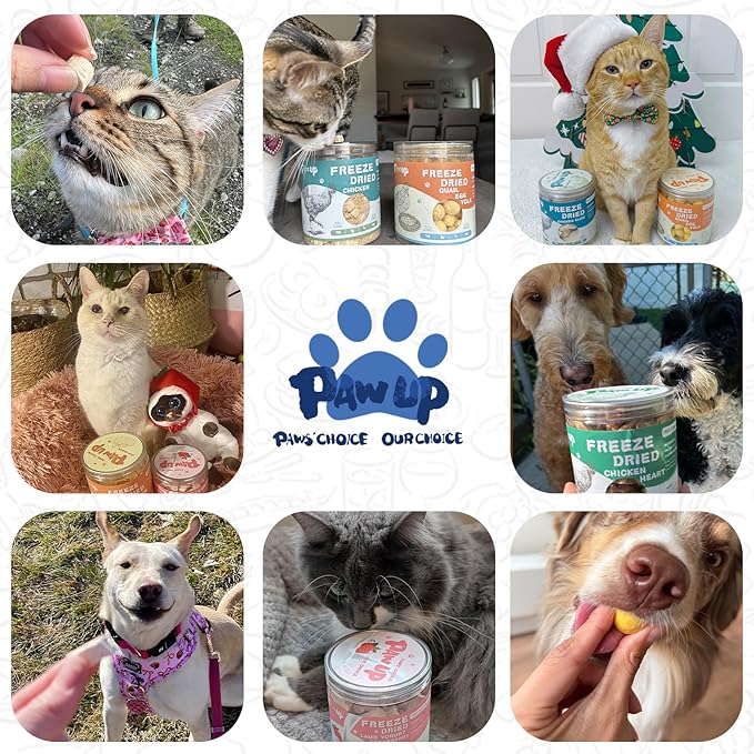 Freeze Dried Raw Dog Food, Chicken & Salmon Recipe Dog Food Topper, High Protein, Rawhide Free, Gluten&Grain Free for Dogs, Cats, 5.3oz-PawvioPets