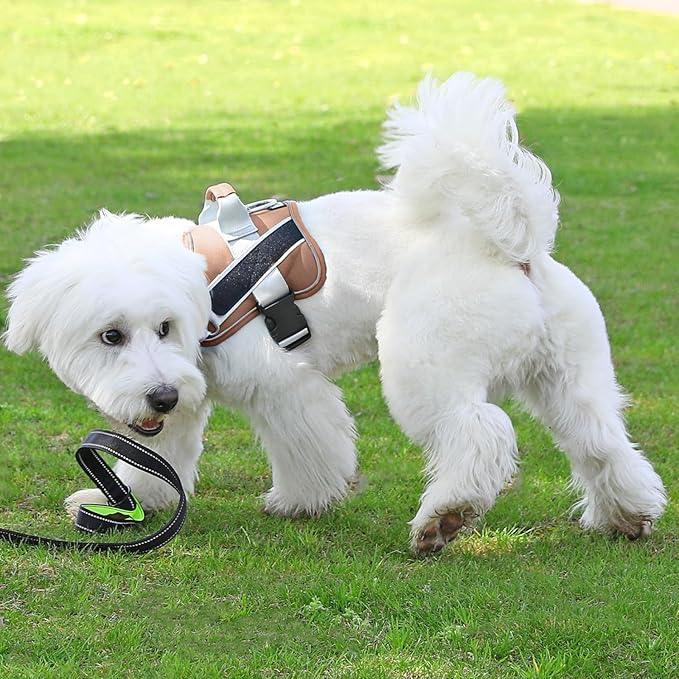 Bolux Dog Harness, No-Pull Reflective Dog Vest, Breathable Adjustable Pet Harness with Handle for Outdoor Walking - No More Pulling, Tugging or Choking-PawvioPets