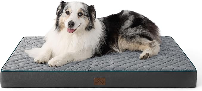 Bedsure Orthopedic Dog Bed for Extra Large Dogs and Crate - Thick Memory Foam Pet Mattress with Removable Washable Cover and Egg Crate Foam, Suitable for Pet Up to 100 lbs, XL 41x29x4 Inches, Grey-PawvioPets