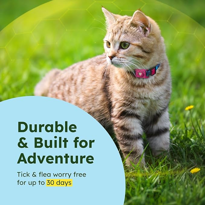 BugMD Paw Guardian Flea & Tick Pendant (3-Pack) with AirTag Holder – Plant-Based Flea & Tick Prevention for Dogs – Pet Collar Tag & GPS Tracker Holder for Dogs – Pink-PawvioPets