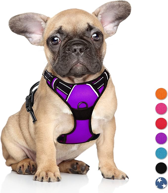 BARKBAY No Pull Dog Harness Large Step in Reflective Dog Harness with Front Clip and Easy Control Handle for Walking Training Running(Purple,S)-PawvioPets