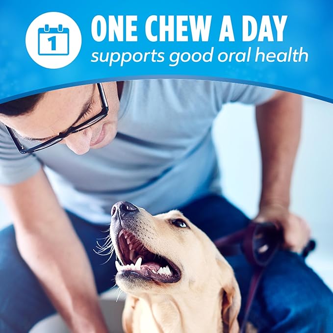 DentaLife Daily Oral Care Dog Treats for Large Dogs 40 plus lbs., Chewy Dental Treat to Freshen Breath and Fight Tartar, Chicken Flavor, 36 oz., 30 Chews - 30 ct. Pouch-PawvioPets