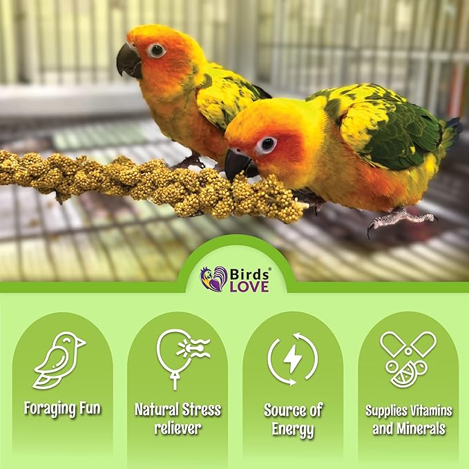 Birds LOVE French Kissed Spray Millet for Birds - Parakeets, Cockatiels, Lovebirds, Finches, Budgies, Canaries, Cockatoos - Natural & Healthy Bird Millet - Parakeet Food & Treats for all Parrots 25lbs-PawvioPets