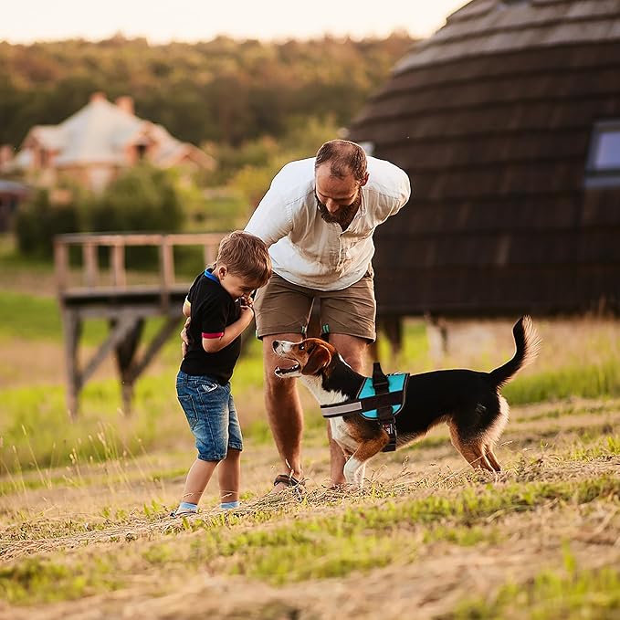 Dogline Dog Harness, Reflective No-Pull Adjustable Vest with Handle for Walking, Training, Breathable, No - Choke Harness for Small, Medium or Large Dogs Room for Patches Girth 15 to 18 in Turquoise-PawvioPets