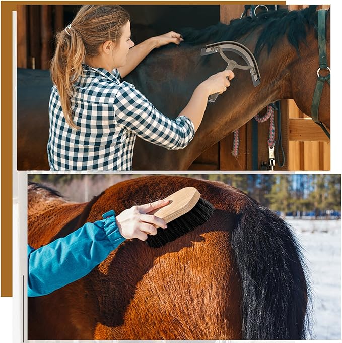 Abbylike 12 Pieces Horse Grooming Kit Racing Festival Tack Room Supplies Horse Brush Sets Equine Care Cleaning Kit Shedding Grooming Massaging Tools(Dark Gray)-PawvioPets