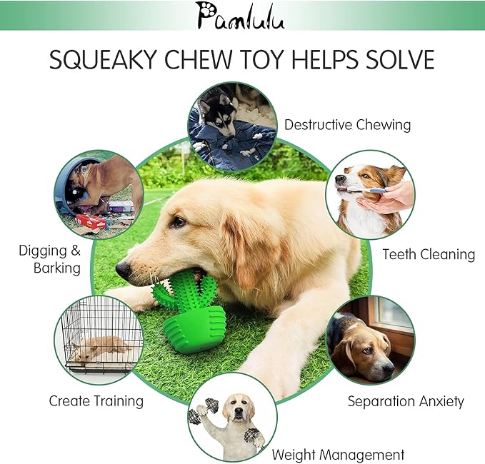 Dog Chew Toys Dog Toothbrush Stick Teeth Cleaning Brush Dental for Medium Large Dog, Puppy Christmas Easter Birthday Gifts, Outdoor Squeaky Toys for Aggressive Chewers Interactive Tough Toys-PawvioPets