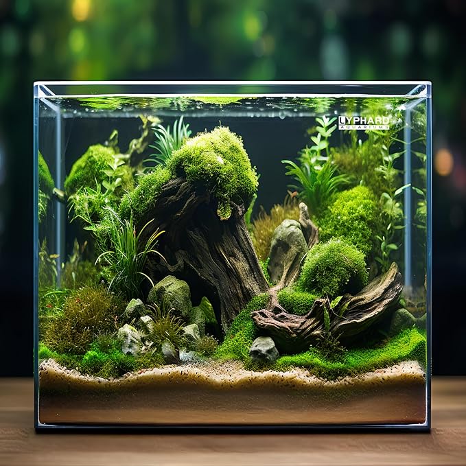 Cube Rimless Aquarium 11 Gallon, Ultra Clear Low Iron Square Fish Tank, L13.8×W13.8×H13.8 Glass Thickness 5mm with EVA Foam Leveling Mat-PawvioPets