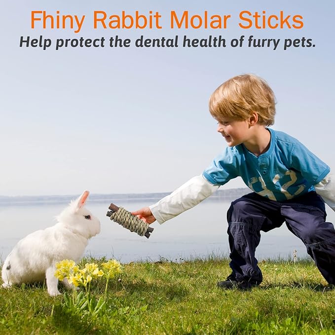 Fhiny 12 PCS Guinea Pigs Chew Toys, Natural Apple Branch Seagrass Molar Sticks for Teeth Bunny Chew Toys Cage Accessories for Guinea Pigs Rabbit Bunny Hamster Chinchilla-PawvioPets