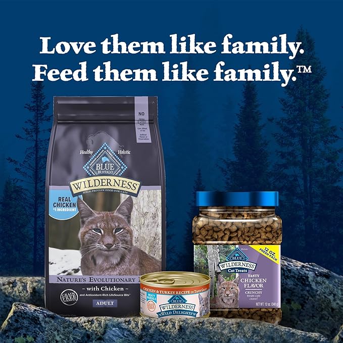 Blue Buffalo Wilderness Nature's Evolutionary Diet High-Protein, Grain-Free Natural Dry Food for Adult Cats, Chicken, 9.5-lb Bag-PawvioPets