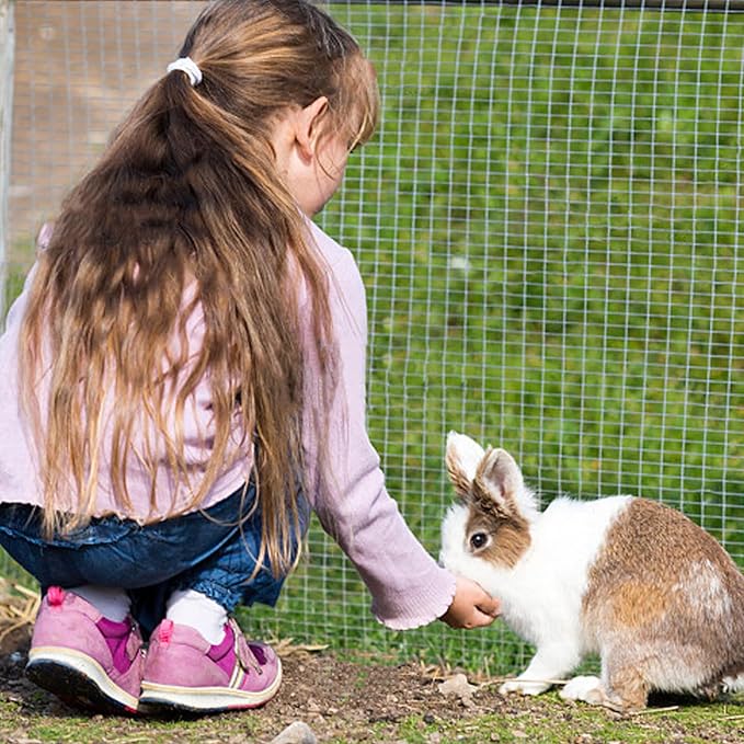 Bunny Treats, Treat Box with 15 Kind of Snacks for Rabbit, Hamster, Chinchilla, Guinea Pig and Other Small Pets, Chinchilla Treats, Guinea Pig Treats, Hamster Treats-PawvioPets