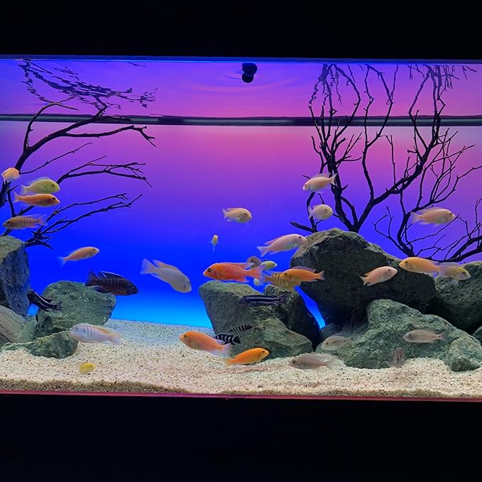 CURRENT USA 24-36" Inch Serene Aquarium Visual and Audio Aquatic Experience Kit with LED Aquarium Light, LED Background Light, Frosted Background Film & Speaker for Fish Tank (4025)-PawvioPets