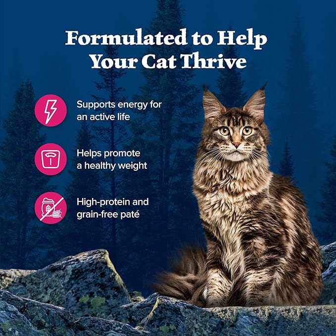 Blue Buffalo Wilderness Natural High-Protein Grain-Free Wet Food for Adult Cats, Salmon Paté, 5.5-oz. Cans, 24 Count-PawvioPets