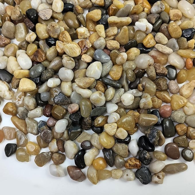 2 Pounds Pebbles for Plants, 3/8 Inch Polished Pea Gravel. Decorative Stones River Rocks for Succulent Soil Cover, Cactus, Aquarium, Vase and Outdoor Garden Landscaping-PawvioPets