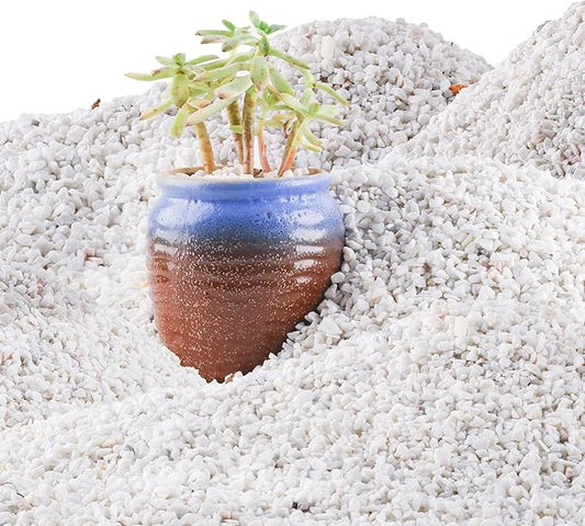 45lb White Cactus Pea Gravel Rocks,1/4 Inch Pebbles for Indoor Plants, Natural Succulent Rock and River Rocks Decorative for Aquariums, Vases, Outdoor Gardening, Top Dressing for Potted Plants-PawvioPets