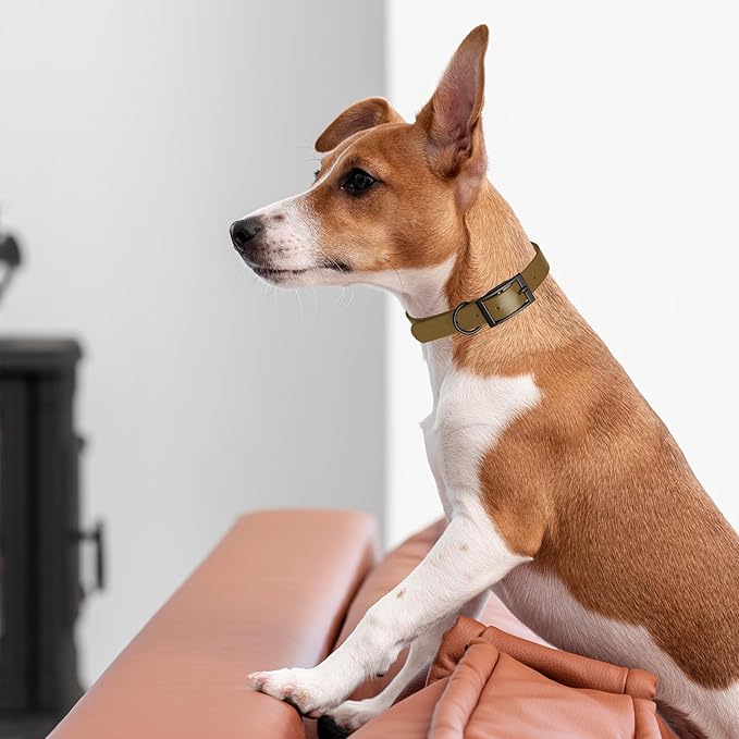 Dogline Biothane Waterproof Dog Collar Strong Coated Nylon Webbing with Black Hardware Odor- Proof for Easy Care Easy to Clean High Performance Fits Small Medium or Large Dogs, Coyote Brown-PawvioPets