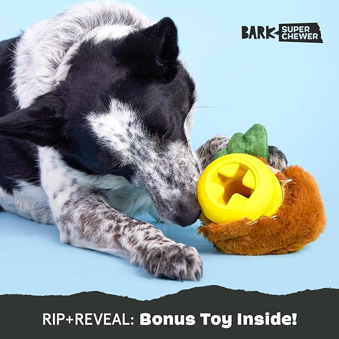 Barkbox Fowl Play Treat Dispensing Hard Core Plush Toy for Aggressive Chewers - Large-PawvioPets