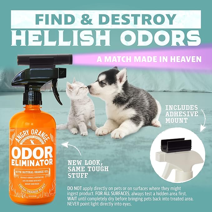 ANGRY ORANGE Pet Odor Eliminator Kit for Dog Urine - Citrus - 24 oz + UV Flashlight-PawvioPets