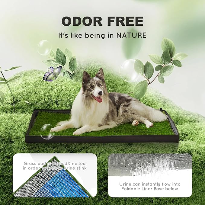 Dog Grass Pad with Foldable Dog Litter Box,Small Liner Base for Balcony，Ultra-Absorbent Artificial Grass Pads for Dogs Pee Pad Holder, Potty Training, 2 PCS Reusable Pee Pads-PawvioPets