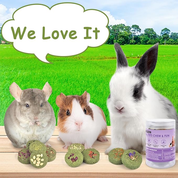 ERKOON Treats Rabbit Toys, 100% Edible Premium Timothy Hay Chew A Blocks for Rabbits, Chinchilla Treats, Chew Toys for Teeth Guinea Pigs and Mice-PawvioPets
