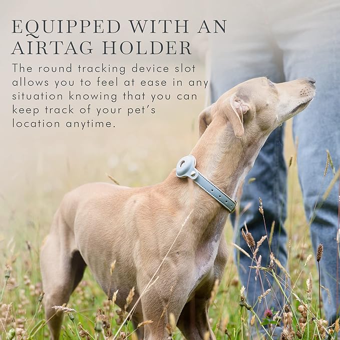 Cupertino Dog Collars, Harnesses & Leashes Made from Vegan Leather with Dog Tracker Device Holder Adjustable Dog Collar (Extra Small, Blue)-PawvioPets