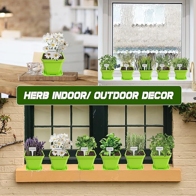 10 Herb Seeds Garden Starter Grow Kit with Green Pots, Markers, Nutritional Soil, Watering, Herb Clipper, Complete Indoor Potted Plant Growing Set for Kitchen DIY-PawvioPets