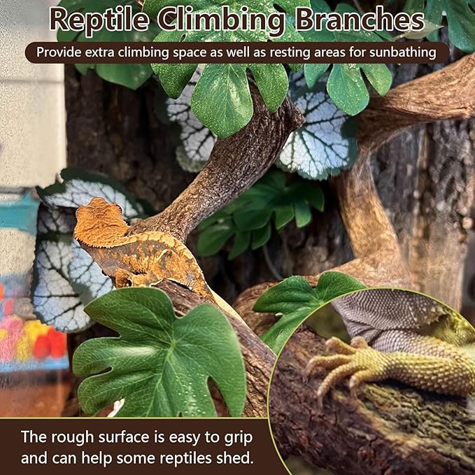 BNOSDM 4Pcs Reptile Climbing Branches Decor,Snake Climbing Branch,Gecko Climb Wood,Lizard Forest Branch,Tank Habitat Tree Trunk Decorations for Bearded Dragons,Chameleons,Spider,Frogs (S)-PawvioPets