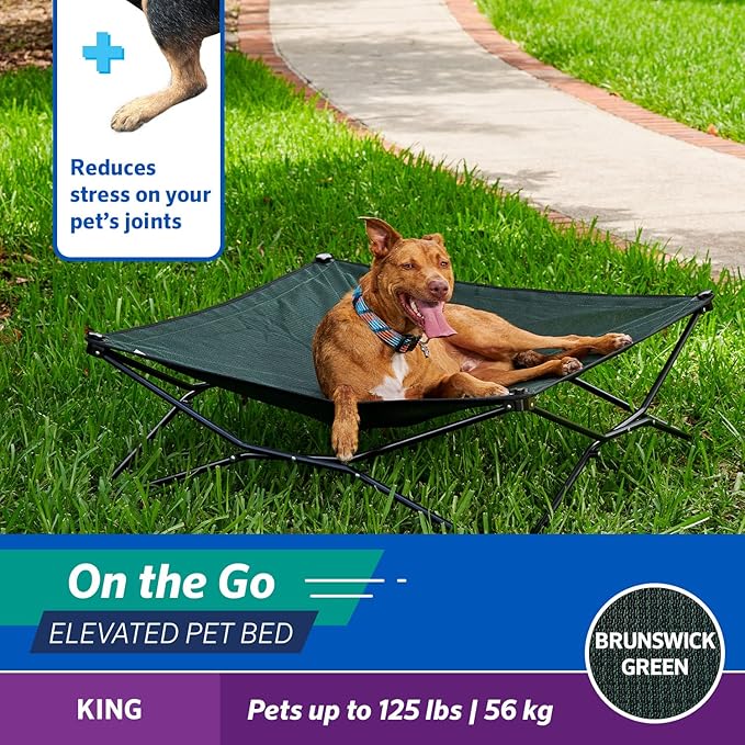 Coolaroo On-The-Go Elevated Dog Bed - Foldable Pop-Up Travel Dog Bed with Breathable, Moisture-Resistant Fabric, Carry Bag Included, Lightweight & Portable, Brunswick Green, Extra Large-PawvioPets