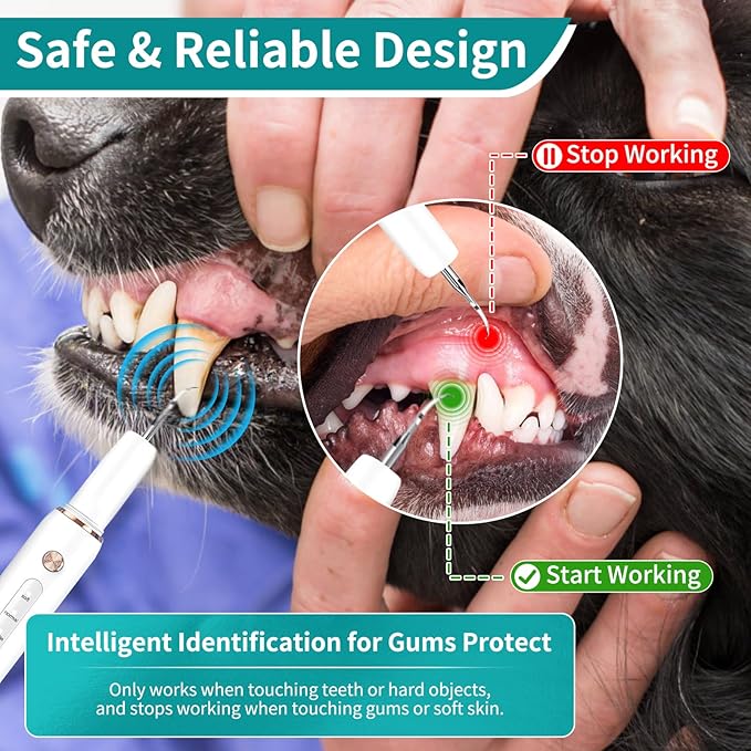 Dog Plaque Tartar Remover, Electric Toothbrush Teeth Cleaner Dental Care Kit for Dogs Cats- 5 Modes LED IPX6 Waterproof Auto-Stop Gum Protection USB Charge, 3 Brush Heads, Pet Teeth Cleaning Tools-PawvioPets