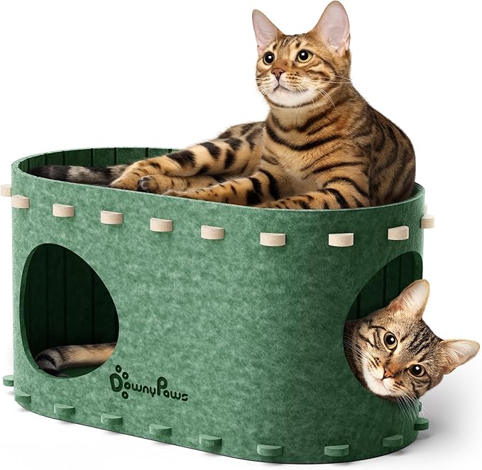 DownyPaws Cat House for Indoor Cats, Cat Bed Cave for Multiple & Large Cats Up to 22 Lbs, Scratch Resistant Peekaboo Cat Caves, Foldable Tunnel Enclosed Bed, PeekaPurr, Forest-PawvioPets