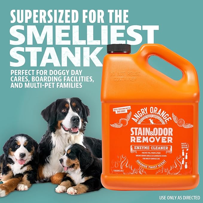 ANGRY ORANGE 1 Gallon Enzyme Cleaner and Deodorizer, Pet Stain and Odor Remover for Dog & Cat Urine and Stains - Citrus, Made in USA-PawvioPets