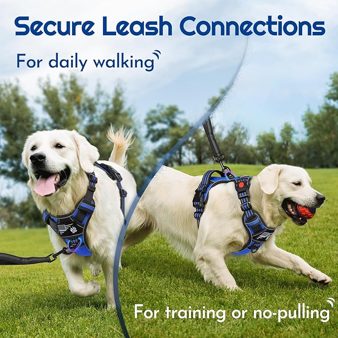 Eagloo Dog Harness Small Sized, Easy Wearing with 3 Buckles, Adjustable No Pull Pet Harness with 2 Rings for Walking, No Chock Reflective Soft Padded Vest with Control Handle, Blue & Black, S-PawvioPets