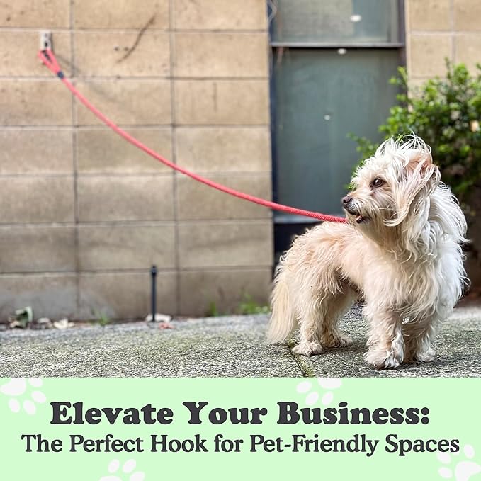 Canine Hitch- Secure Dog Leash Parking Mounted Indoor – Outdoor Wall Hook - Tie Out Stainless Steel Practical Lead Management for Home & Business, Standard Size 6 Pack-PawvioPets